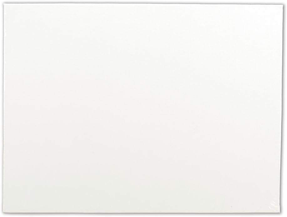 Winsor & Newton Artist's Canvas Board, 16" x 20",White